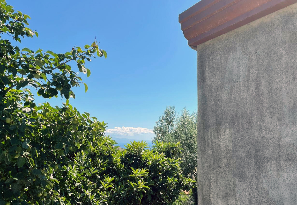 Casa AM — immagine 2