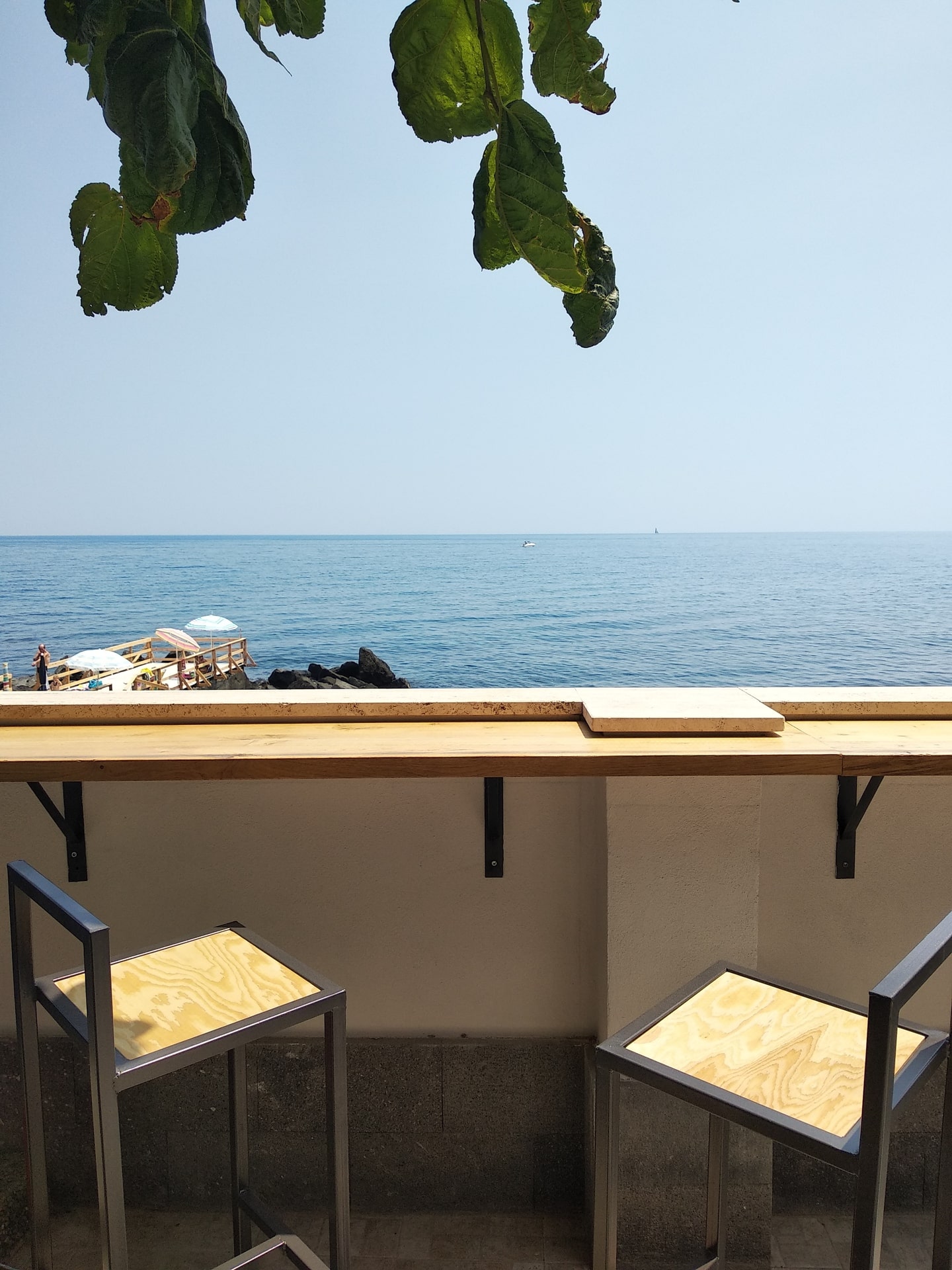 Morus Alba — immagine 3
