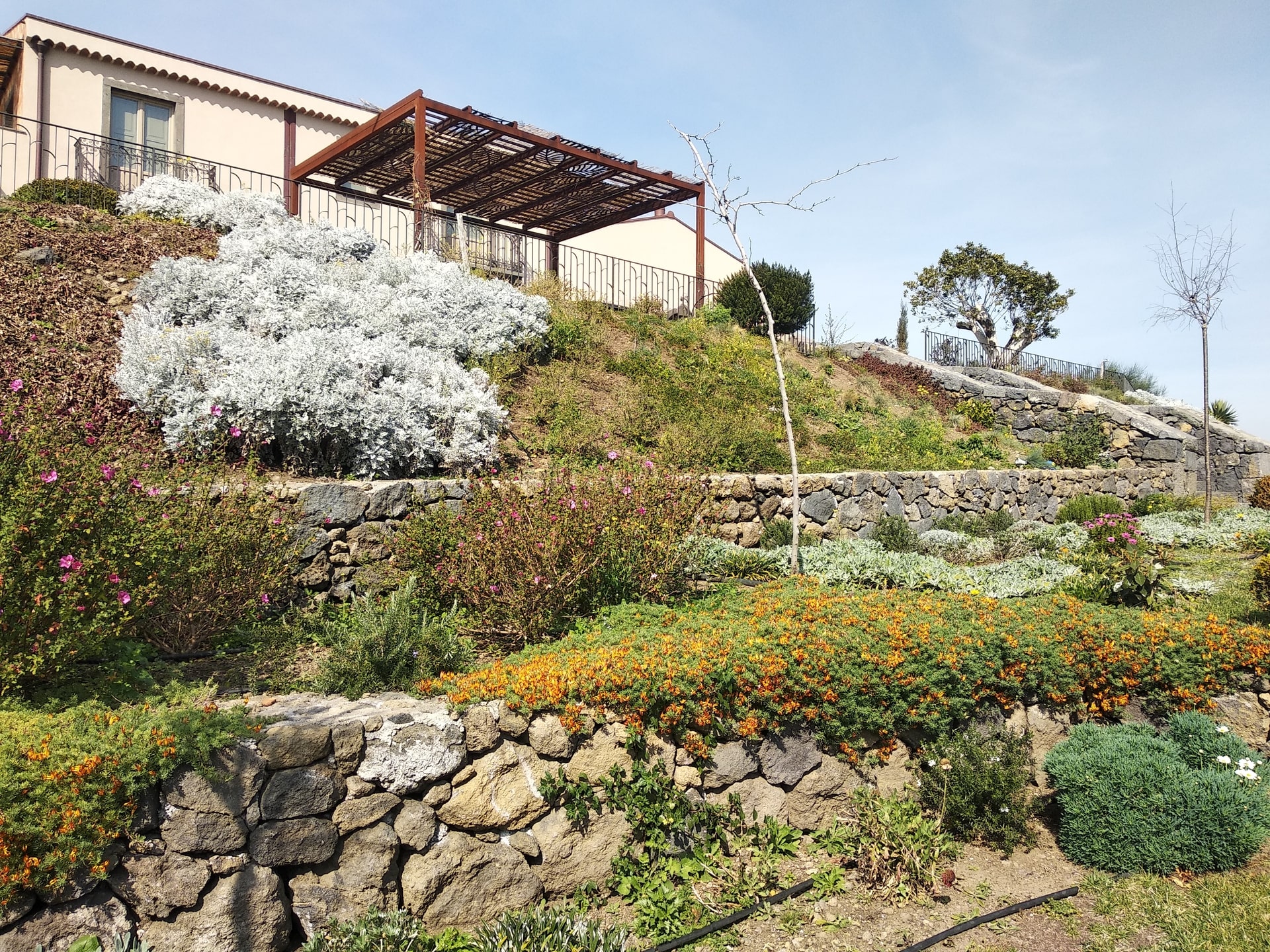 Giardino Privato — immagine 6